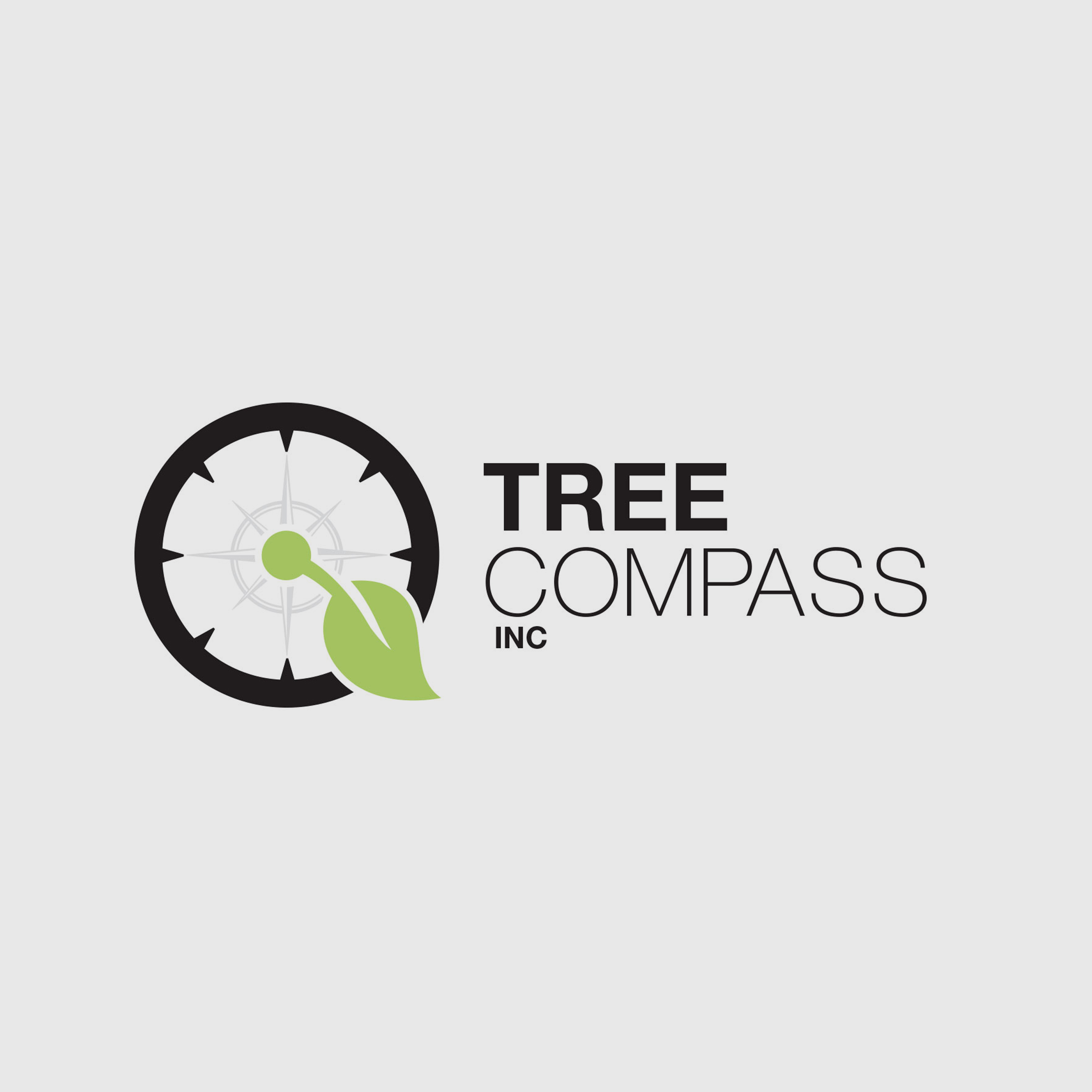 Dummy